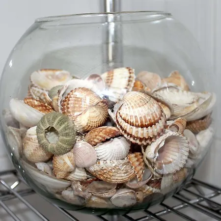 Il Rifugio Del Marinaio * La Spezia